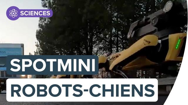 Une meute de robots-chiens SpotMini déplace un camion | FUTURA