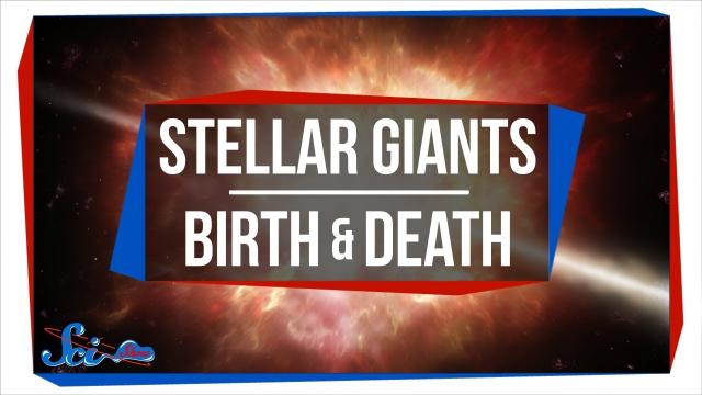 Giant Stars Don't Follow the Rules | SciShow News