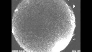 Large Fireball Seen Streaking Over Ohio | Video