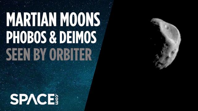 Martian Moons Phobos and Deimos Seen by Orbiter