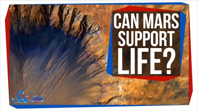 Could Complex Life Survive on Mars? | SciShow News