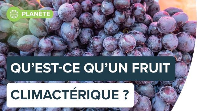 Pourquoi certains fruits mûrissent et d’autres pas ? | Futura