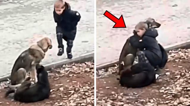 Man Sees Boy Hugging Stray Dog Every Day. When He Realizes Why, He Bursts Into Tears