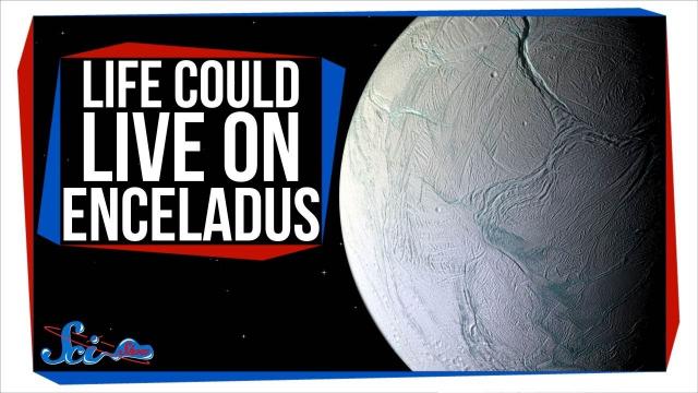 It's Official: Life Could Survive on Enceladus