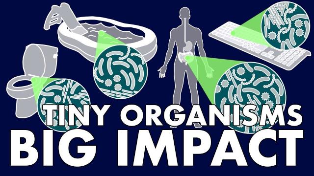 Tiny Organisms, Big Impact