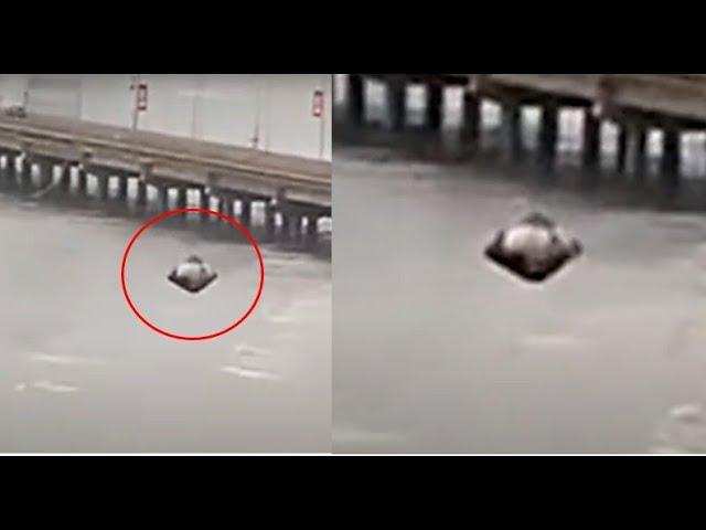 UFO Lands in Panama City