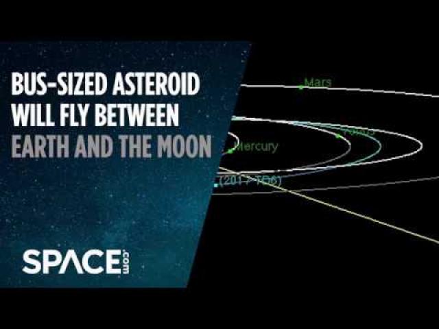 Bus-Sized Asteroid to Fly Between Earth and Moon