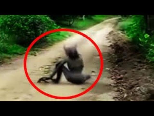 Unexplained Phenomena, Unusual Sightings, Bizarre And Weird Creatures