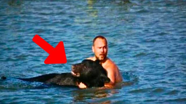 Mother Bear Grabs Fishermen After He Saves Her Cubs