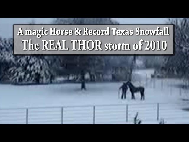 A Magic Horse & record Texas Snowfall - 2010 - the REAL THOR storm