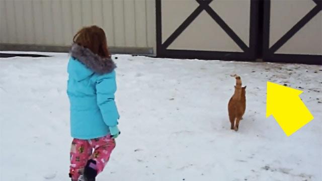 This Little Girl Followed Her Cat Into A Barn And Found The Huge Secret Her Parents Had Been Hiding.