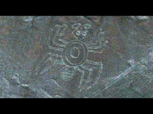 2,000 year old Nazca Ant Drawing Found In Peru