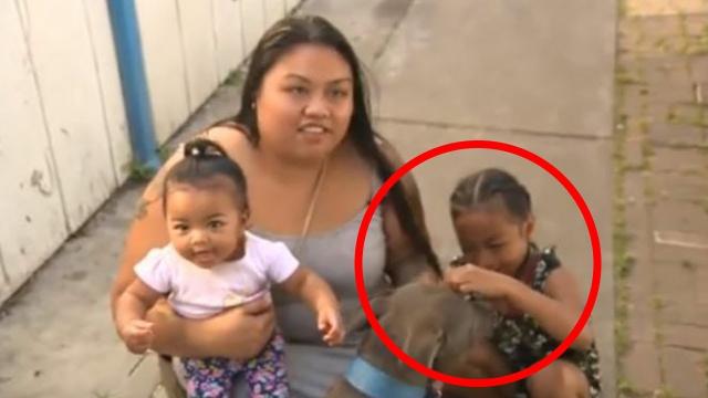 Pit Bull Grabs Baby, Dragging Her Outside Mom Shocked As She Looks Out Door