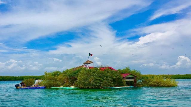 THIS Man Builds His Own Self-Sustaining Island Completely Out Of Trash