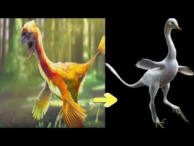 Incredible Bizarre Creature Discovered That Had Dinosaur's Head And Bird's Body