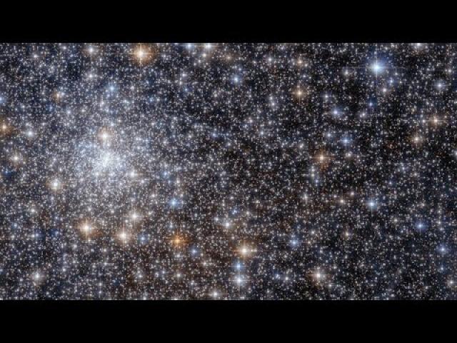Hubble Spies a Glittering Gathering of Stars