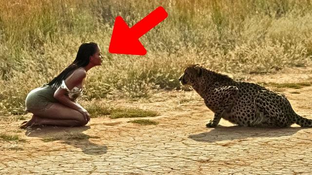 This Tiger’s Reaction After Seeing A Pregnant Woman Is The Most Incredible Thing You’ll See Today