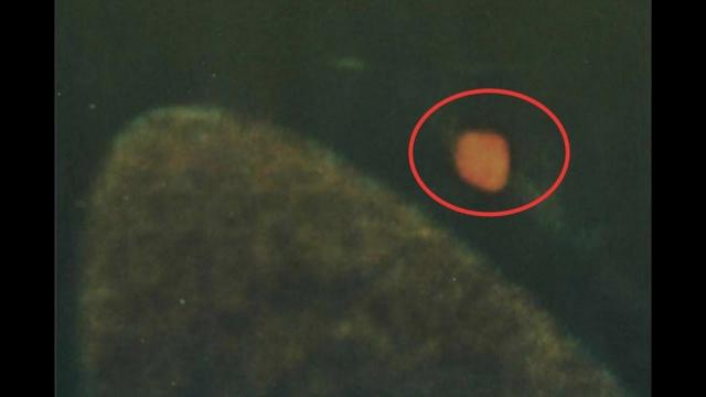 A UFO The Size Of Planet Earth Seen Hovering Near Saturn