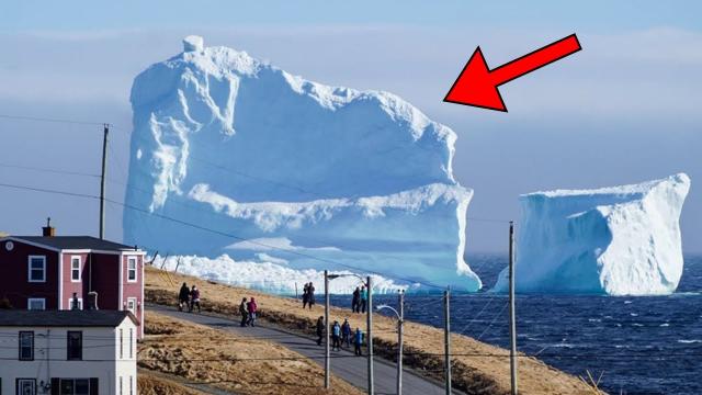 Iceberg Floats Close To Small Village   When Residents See What's On It, They Turn Pale