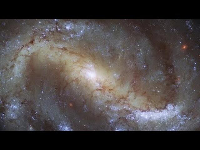 Video of Hubble Goes Galactic Birdwatching