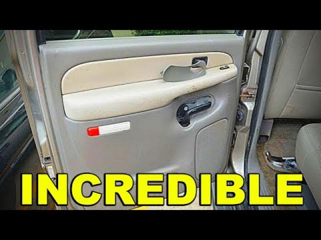 This Man Found Something Spectacular inside His Car Door !