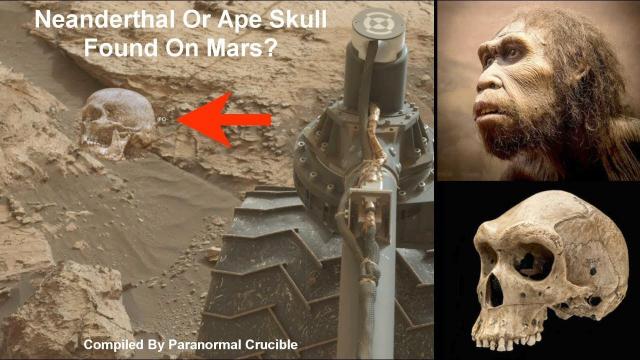 Possible Neanderthal Skull Found On Mars?