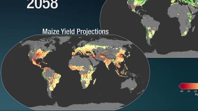 Climate change could reduce corn and increase wheat yields relatively soon, NASA explains