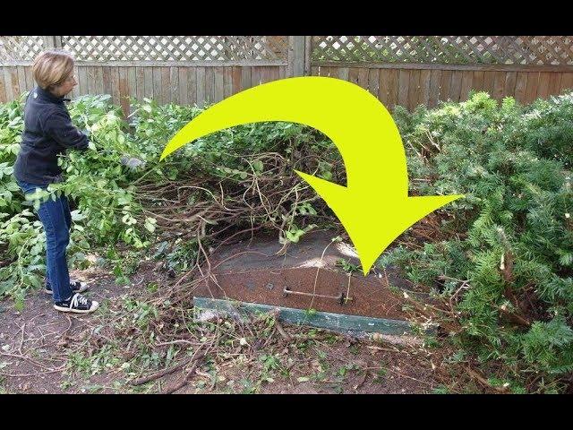 This Couple Opens Mysterious Hatch In Their Backyard,Finds Masterpiece Lost In Time