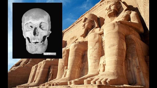 Egyptian pharaoh may be first known 'Giant'