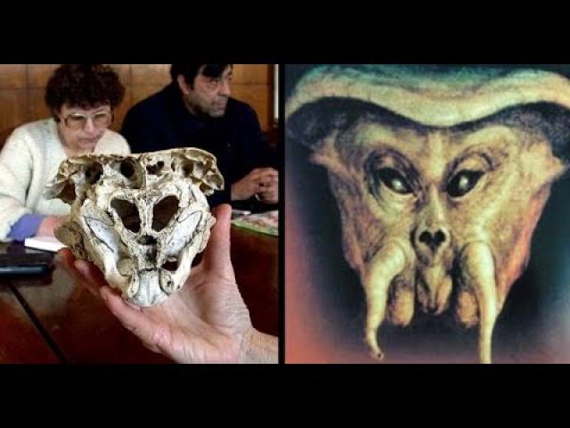The Rhodope Skull: Evidence For The Existence Of Aliens On Earth?