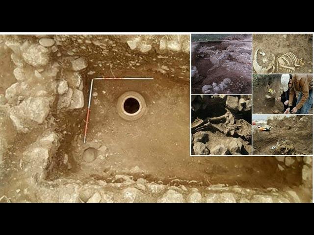 Remains of a 'Giant' Discovered Alongside Ancient Treasure Trove in Iran
