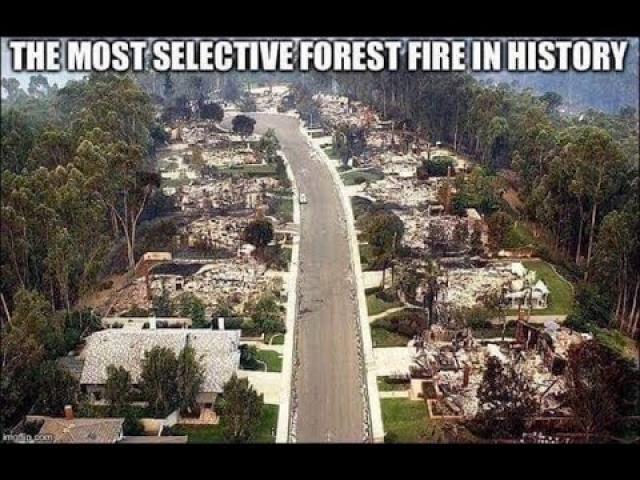 Wildfire Insanity! Why are houses burning down and not the trees? DEW??? Science Answers!