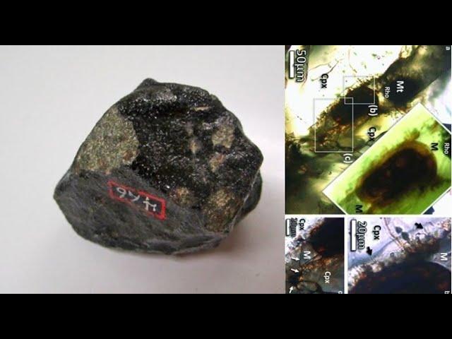 Mysterious biological structure found inside the Martian meteorite Nakhla
