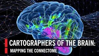 Cartographers of the Brain: Mapping the Connectome