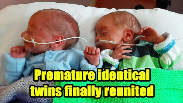 Premature identical twins kept apart after birth by Covid finally reunited after 159 days
