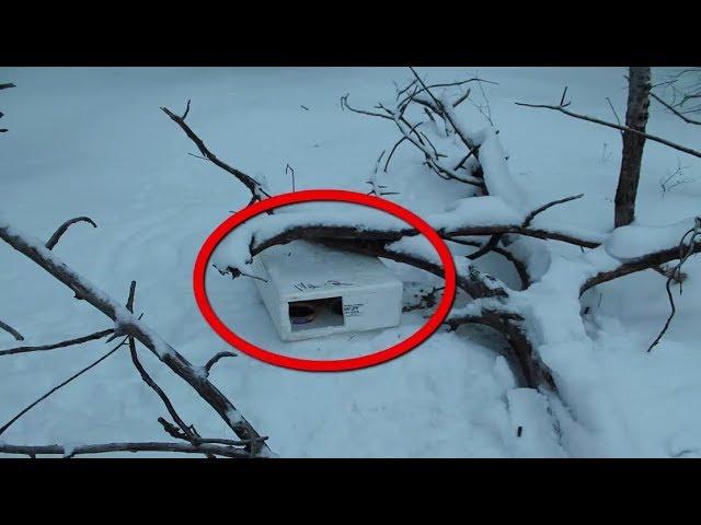 They Found This  Box In The Snow What They Found Inside Left Them Speechless