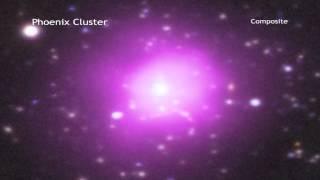 Star 'Resurrecting' Phoenix Cluster Astounds Astronomers | Video