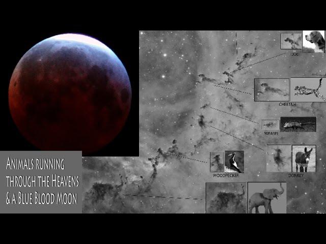 Animals running through the Heavens & a Blue Blood Moon