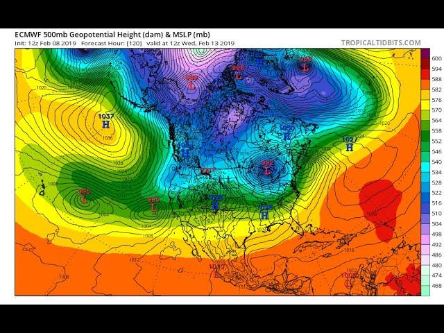 a cuddly look at the Wild, Wild Weather. West Coast. Hawaii. East Coast.