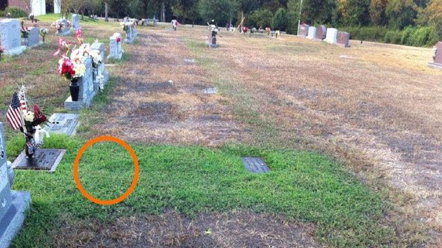 Mom didnt understand why her’s sons grave was green, she cried when she knew truth behind it