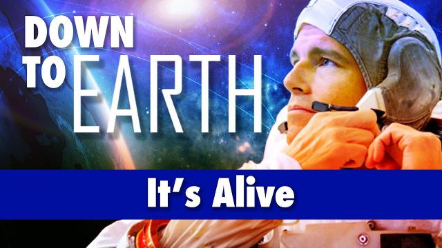 Down To Earth - It's Alive