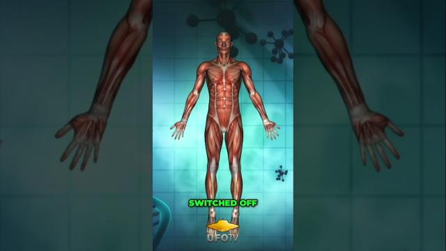 Unlocking the Secrets of the Five Bodies   A Spiritual Journey