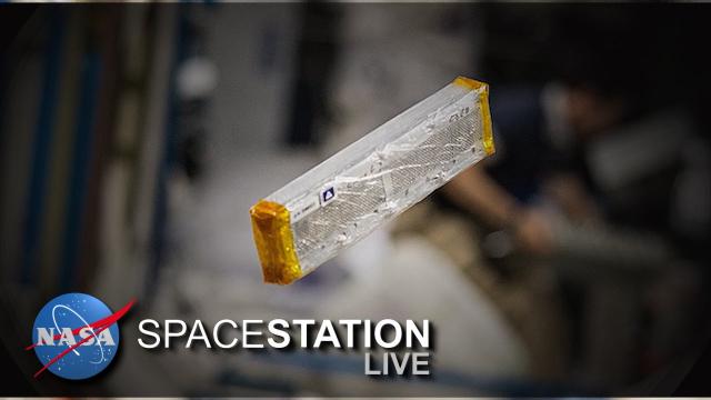 Space Station Live: The "Almost" Human Touch