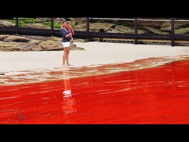 Rivers Turning Red All Over The World As Biblical End Times Prophecy Fulfilled