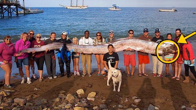 Fisherman Caught Weird Creature, Bursts Into Tears When He Discovers What It Is