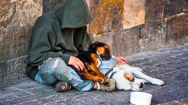Vet Refuses To Help Homeless Man's Dog - Days Later, This Happens !