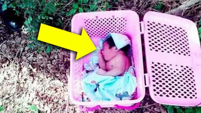 Baby Girl Is Abandoned at Orphanage Doorstep for Her Looks, Becomes Famous Years Later