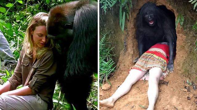 This Woman Got Dangerously Close to a Gorilla and That’s When the Unexpected Happened