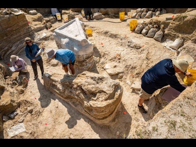 Paleontologists Just Unearthed A Nearly 6 Million Year Old ‘Elephant Graveyard’ In Florida