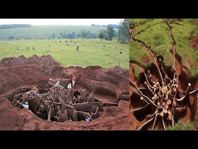 Largest Structure On Earth Is 4,000 Years Old, Visible From Space, And Wasn’t Built by Humans